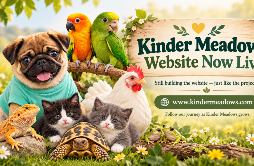 Kinder Meadows Website Is Now Live!